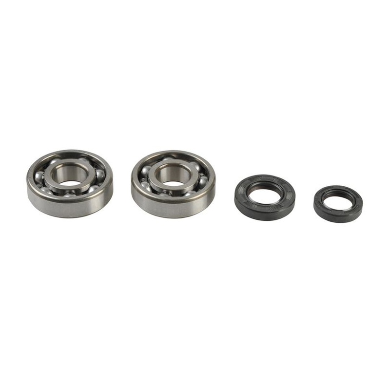 Athena P400210444079 Crankshaft Rebuilding Kit: Bearing and Oil Seal Kit