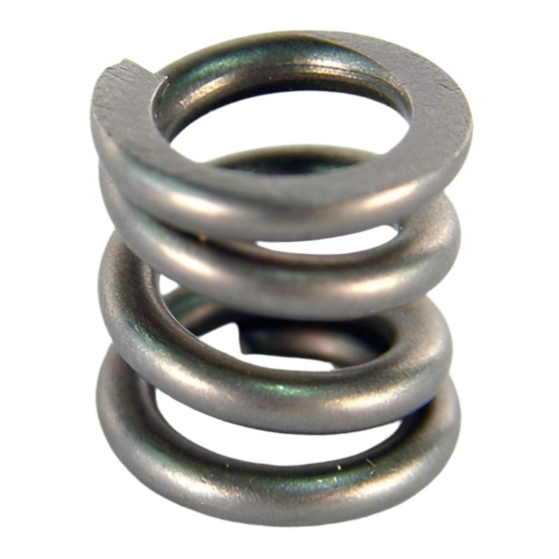 313000 .091″ Spring HDC3, HDC4