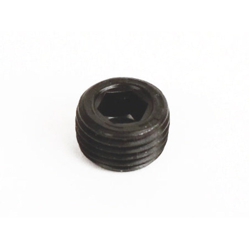 306100 DXL Oil Plug