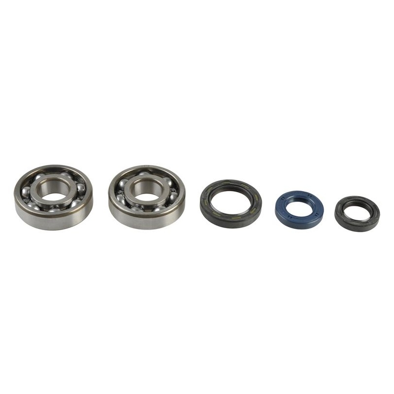 Athena P400210444007 Crankshaft Rebuilding Kit: Bearing and Oil Seal Kit