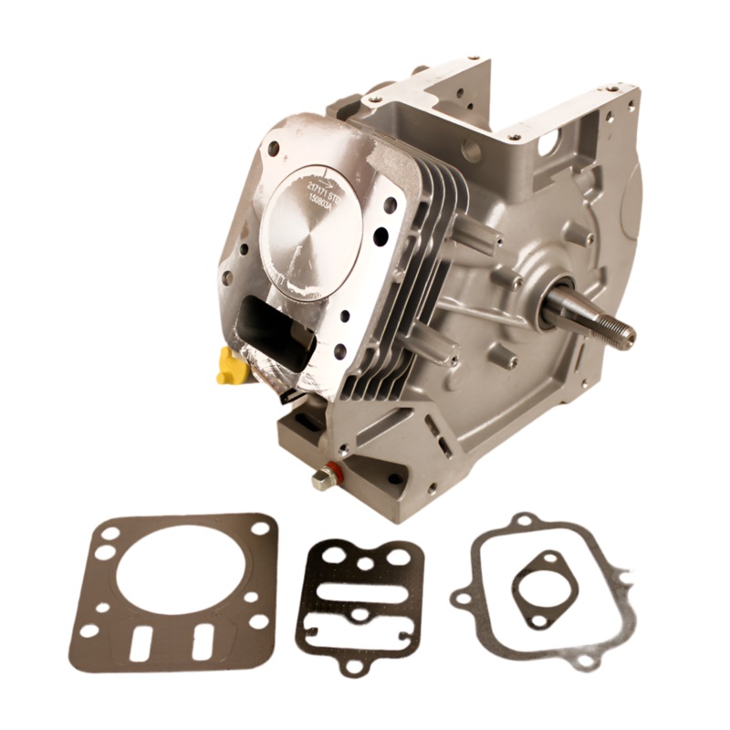 555715 Briggs LO206 Sealed Short Block
